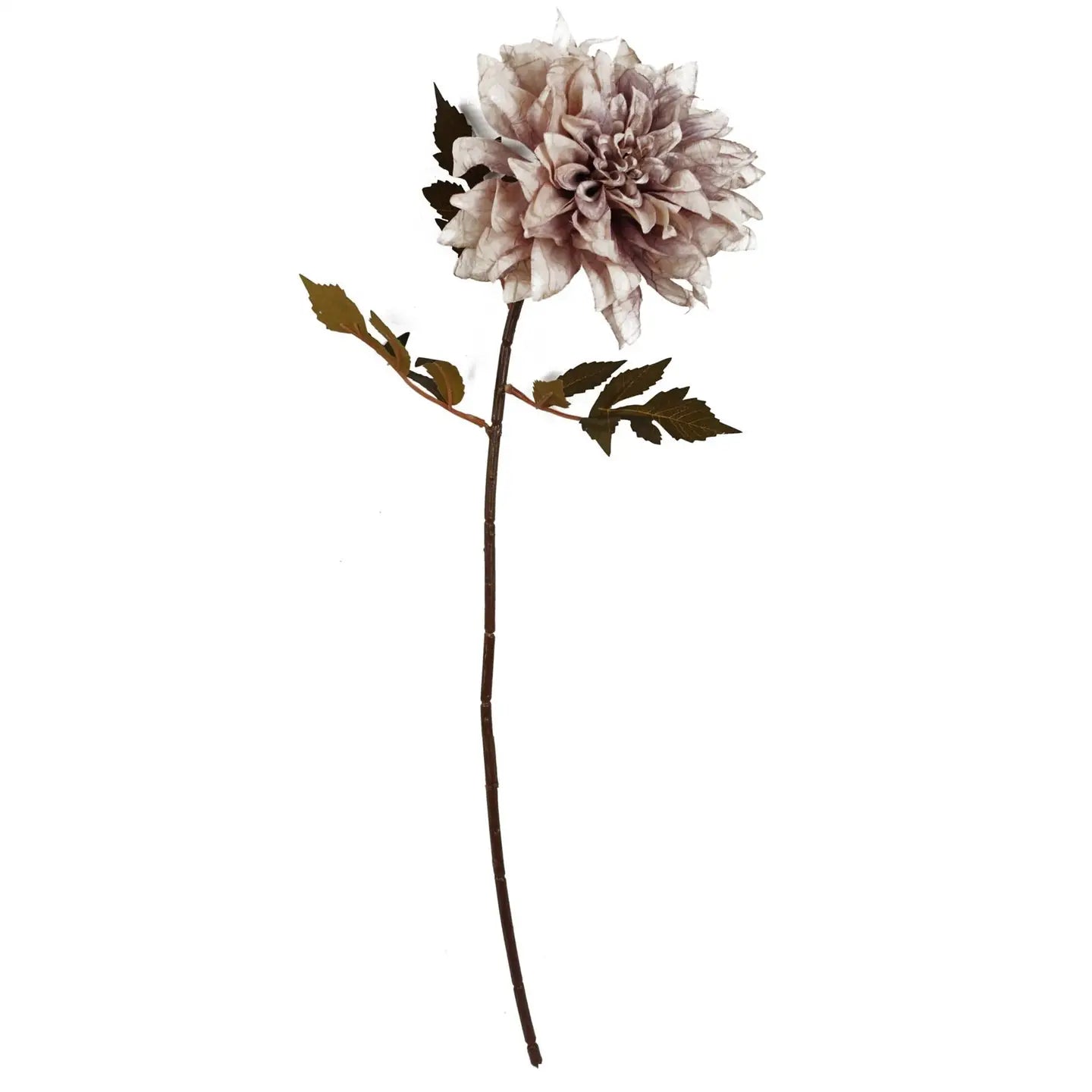 Dahlia Flower Stem - Dusty Pink