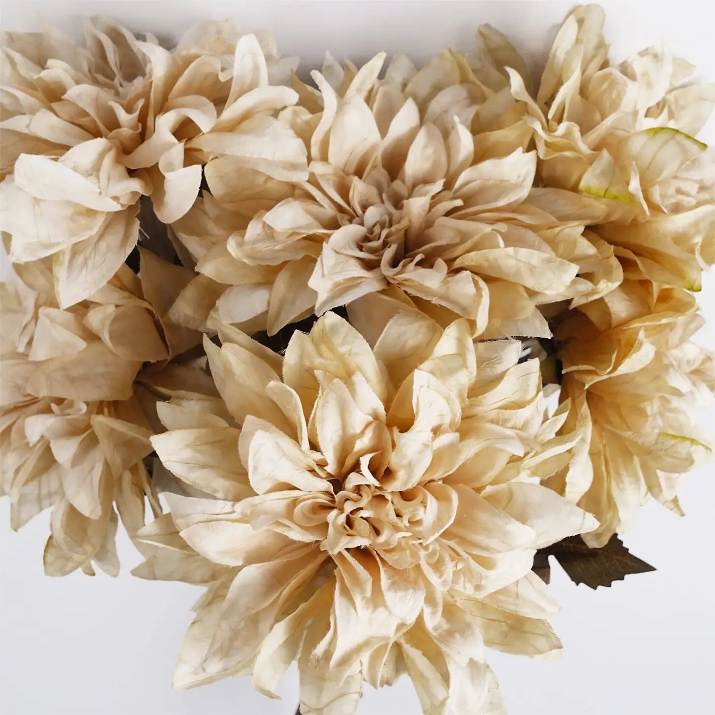 Dahlia Flower Stem - Dusty Cream