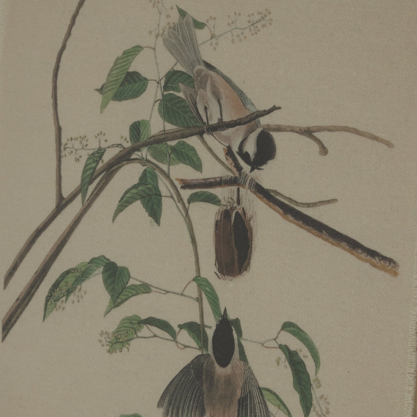 Botanical Framed Linen Print with Chikadees