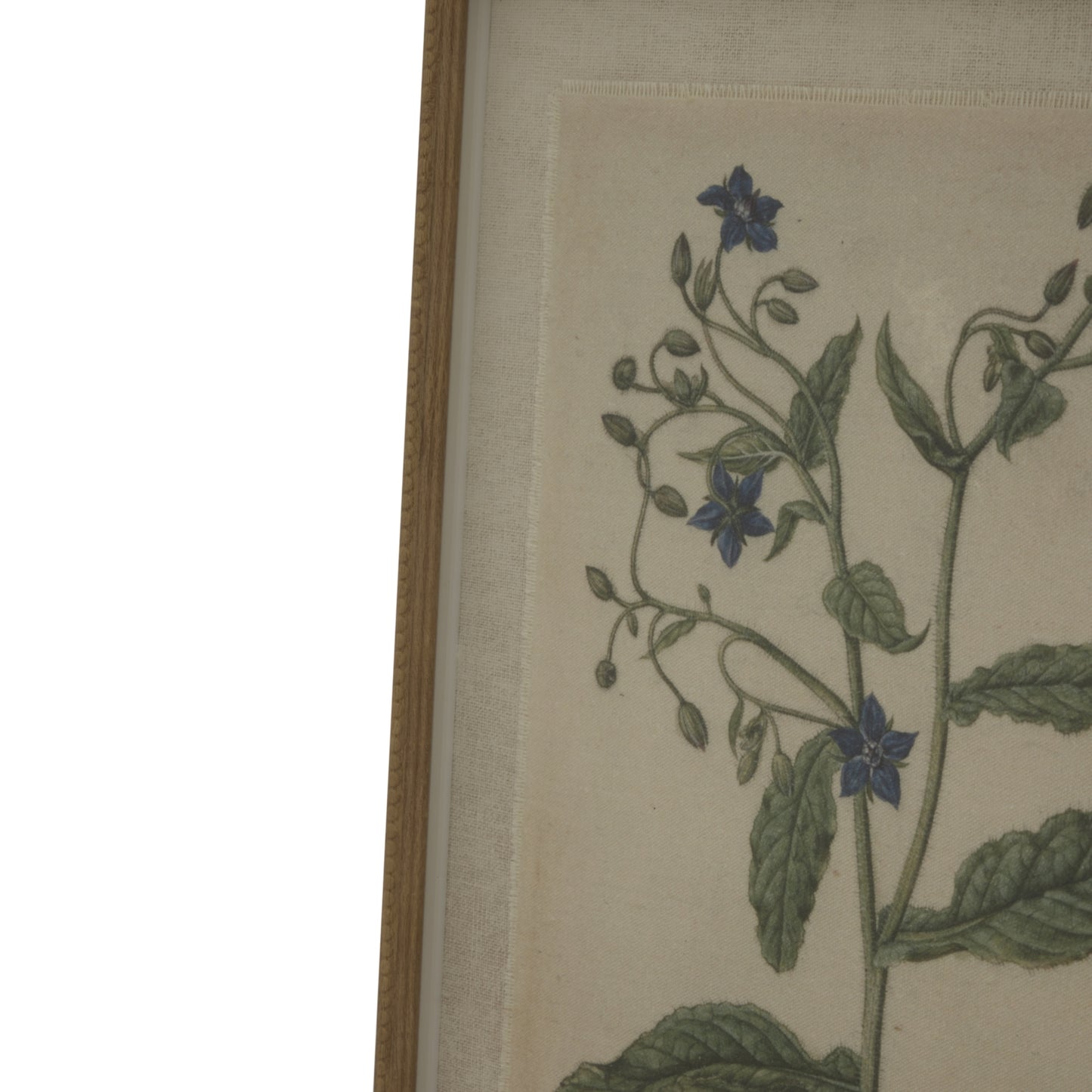 Botanical Framed Linen Print