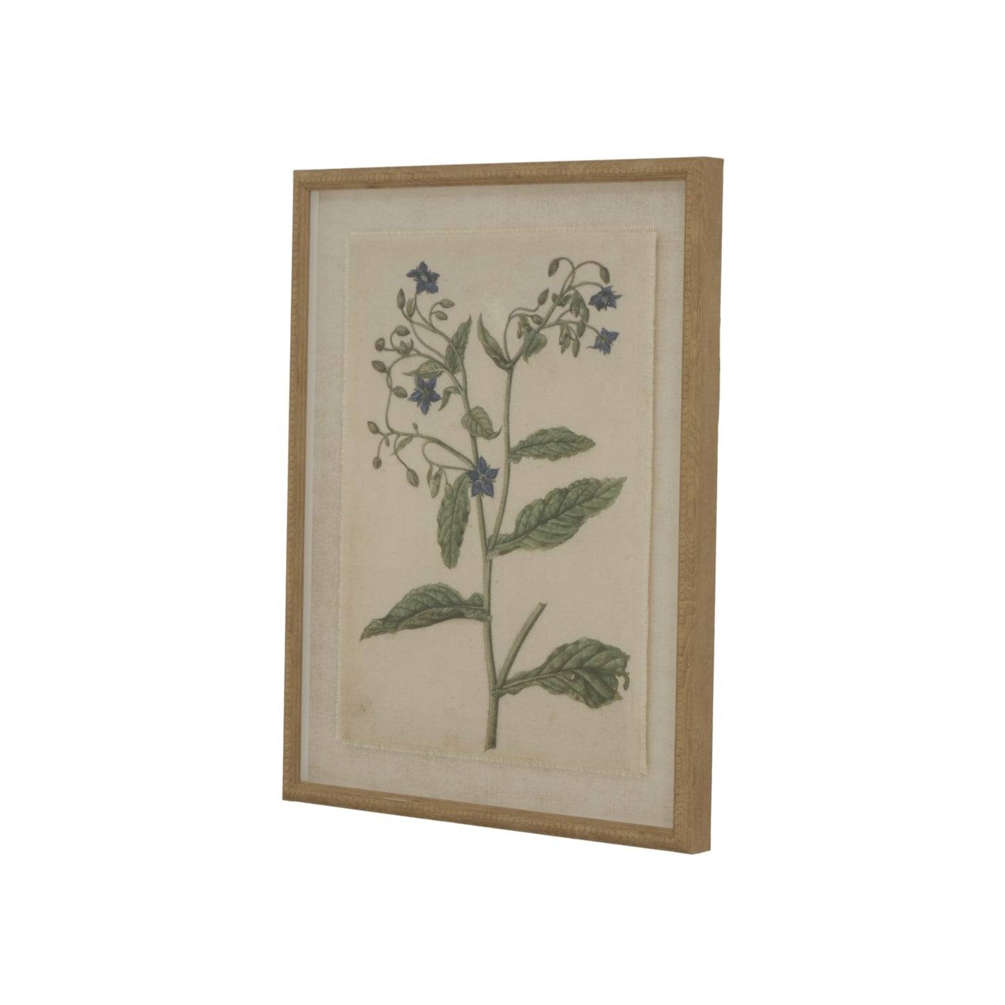 Botanical Framed Linen Print