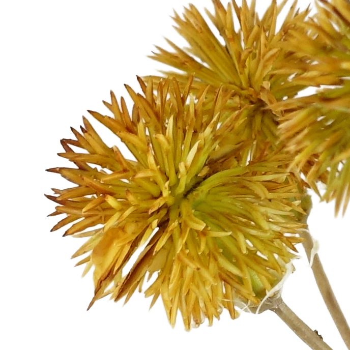 Yellow Craspedia Artificial Stem