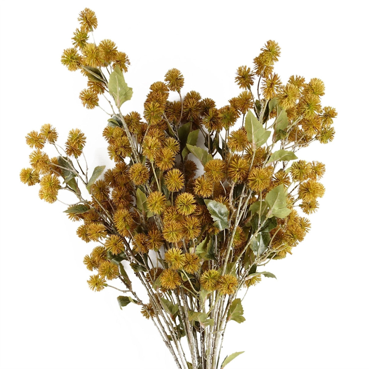 Yellow Craspedia Artificial Stem