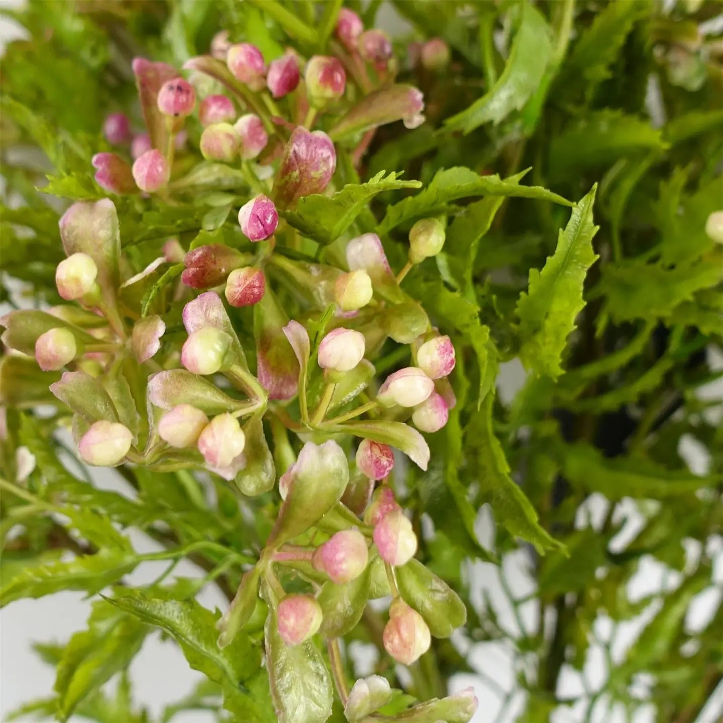 Foliage Stem with Pink Berries