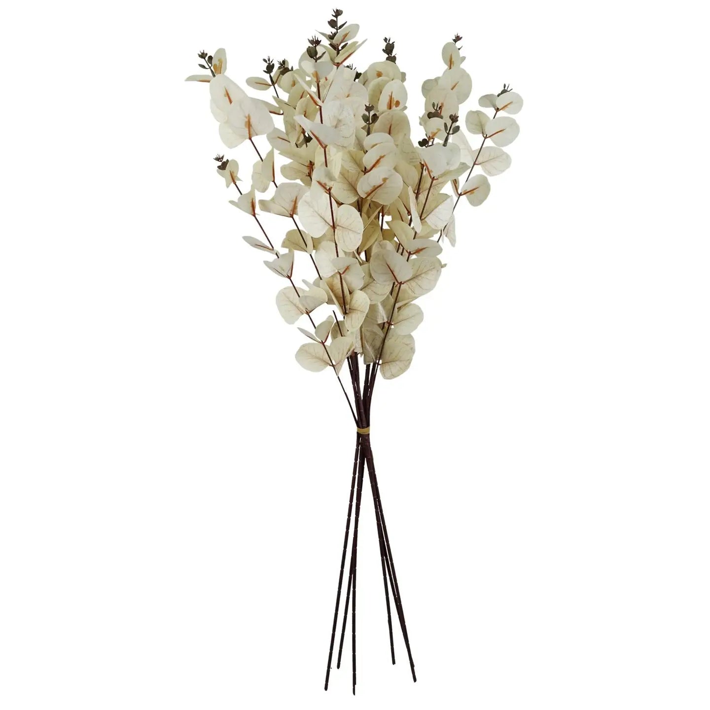 White Eucalyptus Foliage Stem