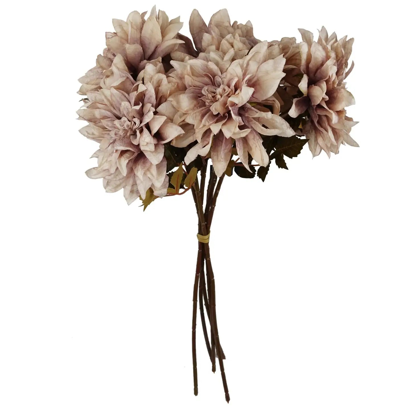 Dahlia Flower Stem - Dusty Pink