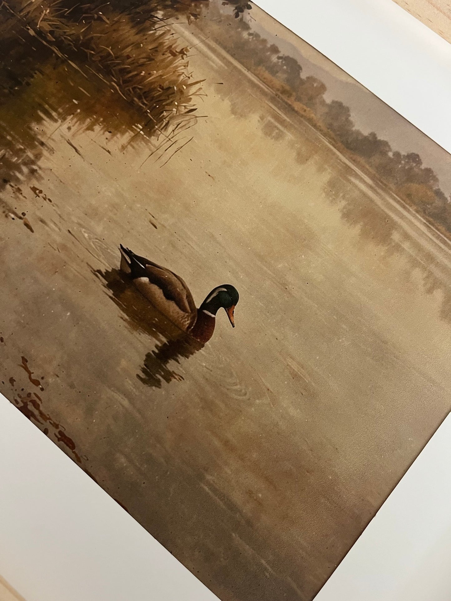 Calm Waters Art Print (A4 or A3)
