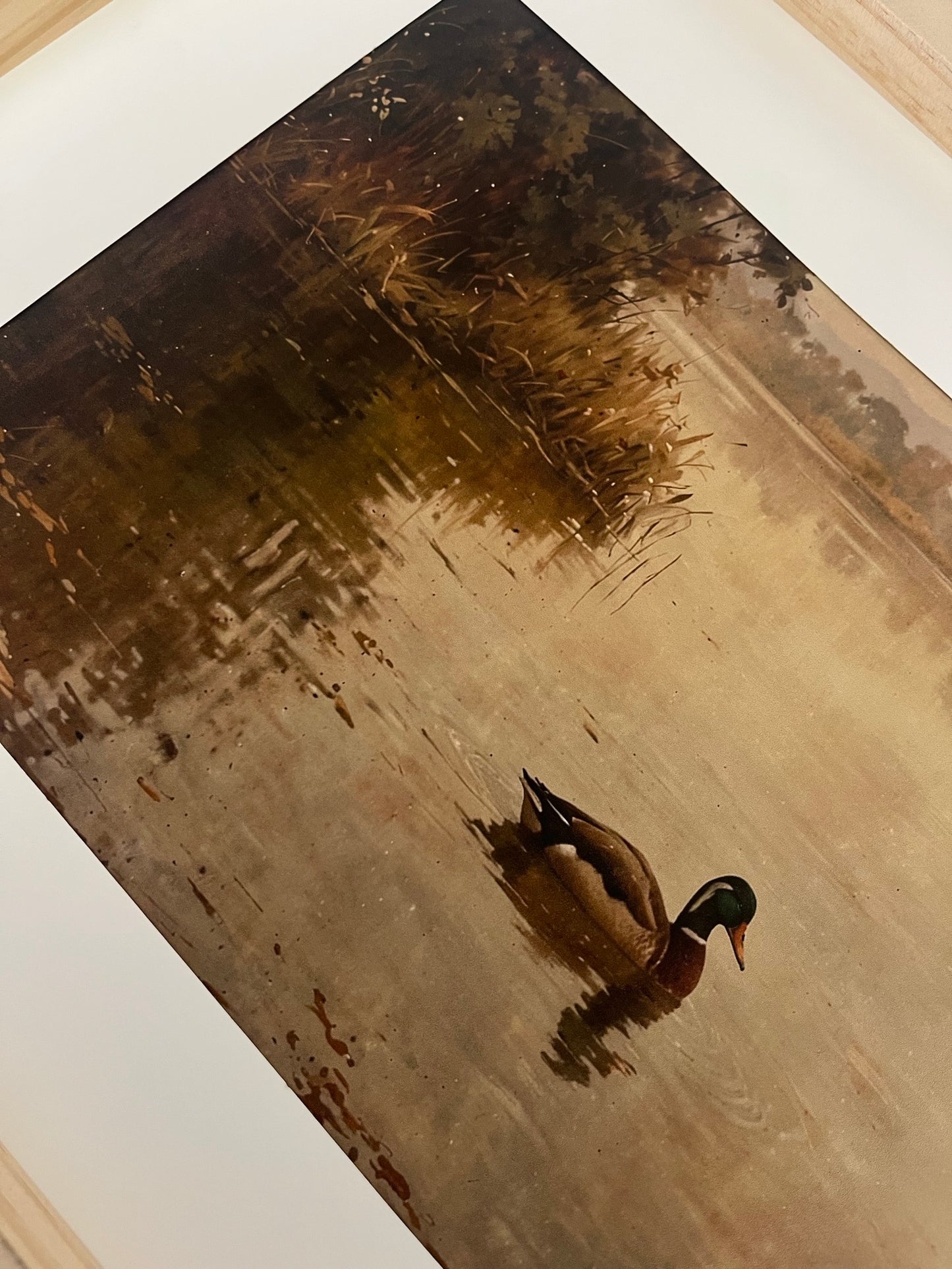 Calm Waters Art Print (A4 or A3)