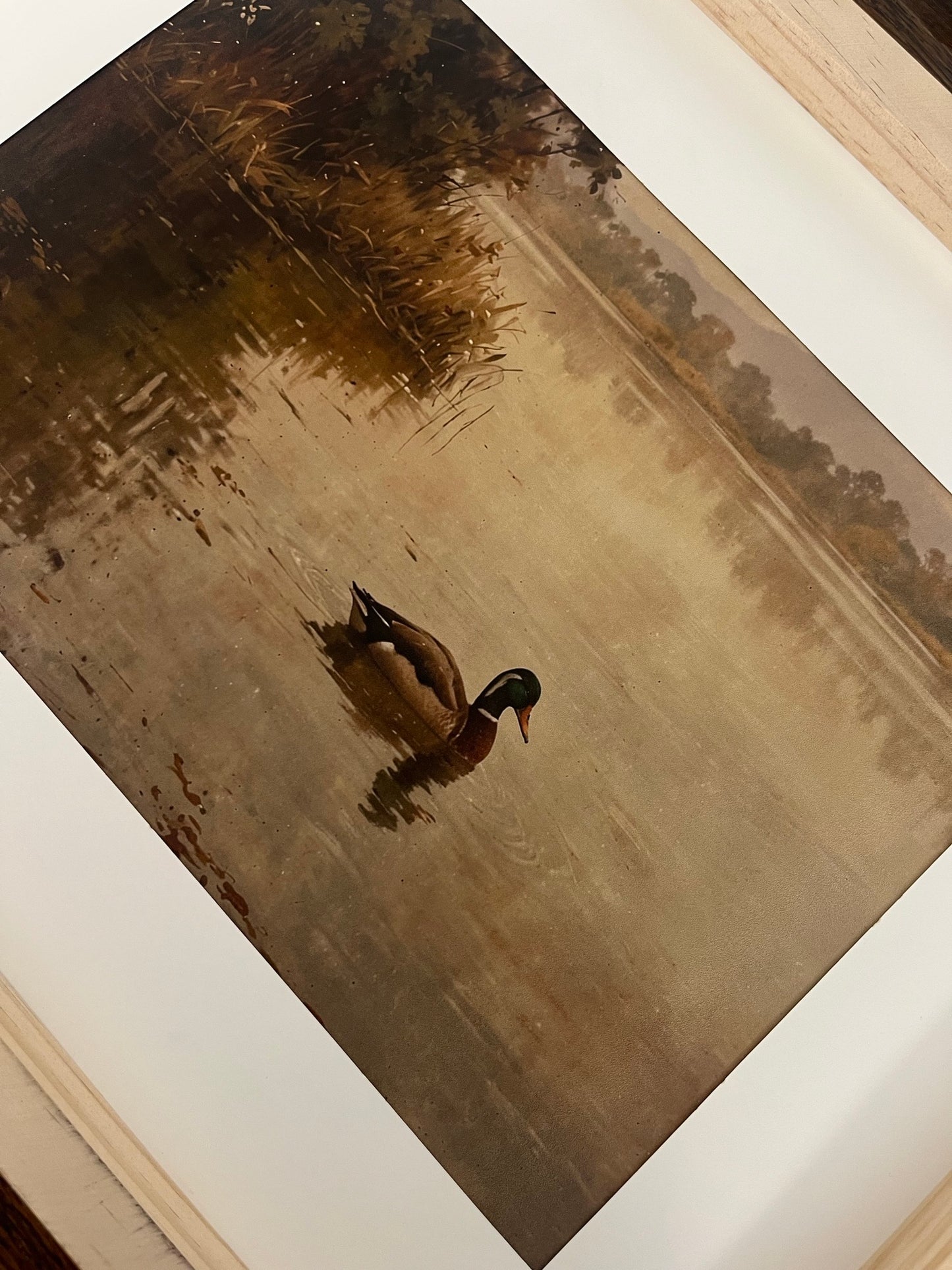 Calm Waters Art Print (A4 or A3)