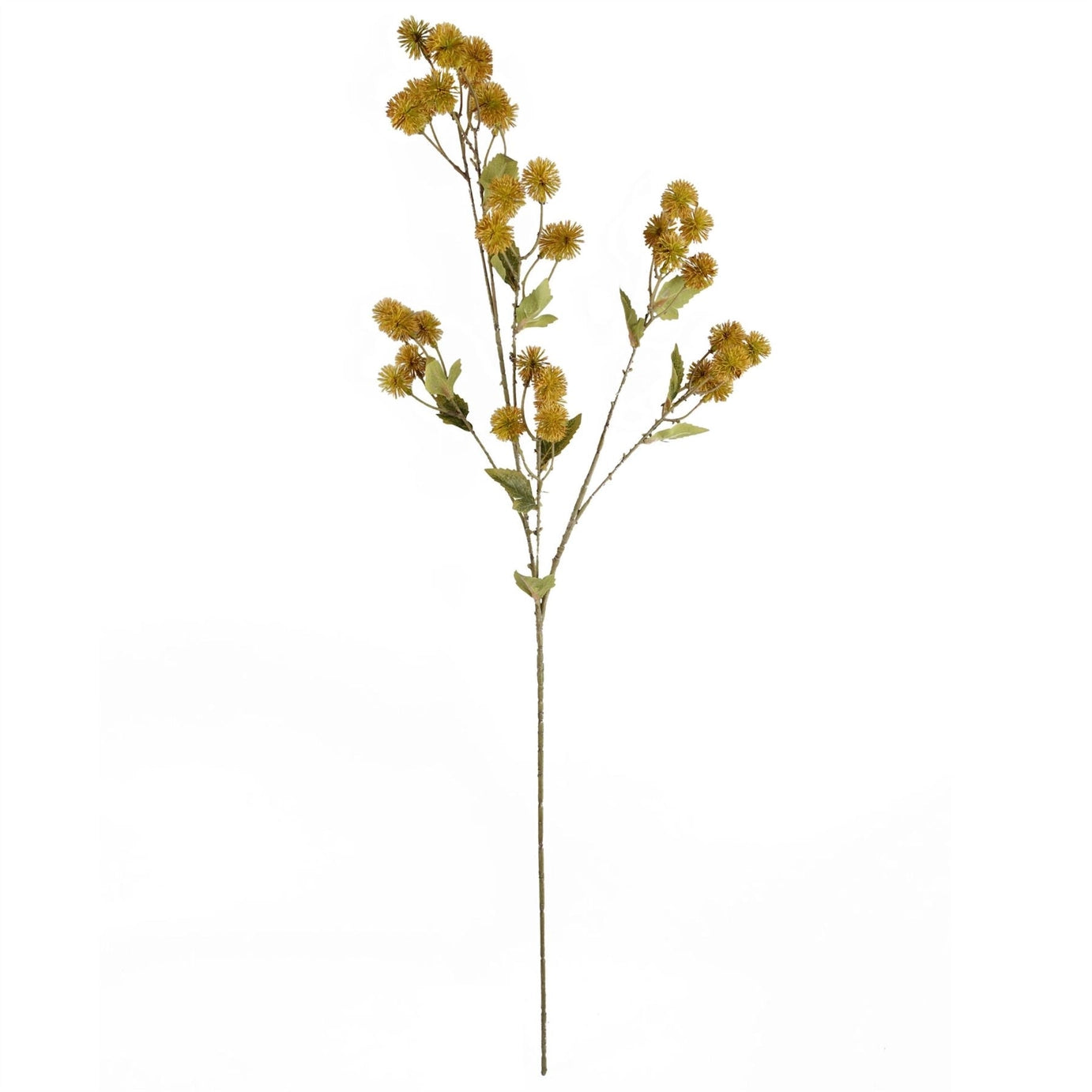 Faux Mustard Craspedia Stem