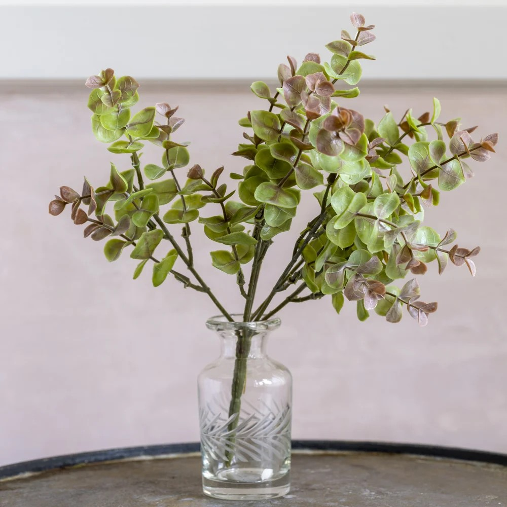Small Eucalyptus Spray