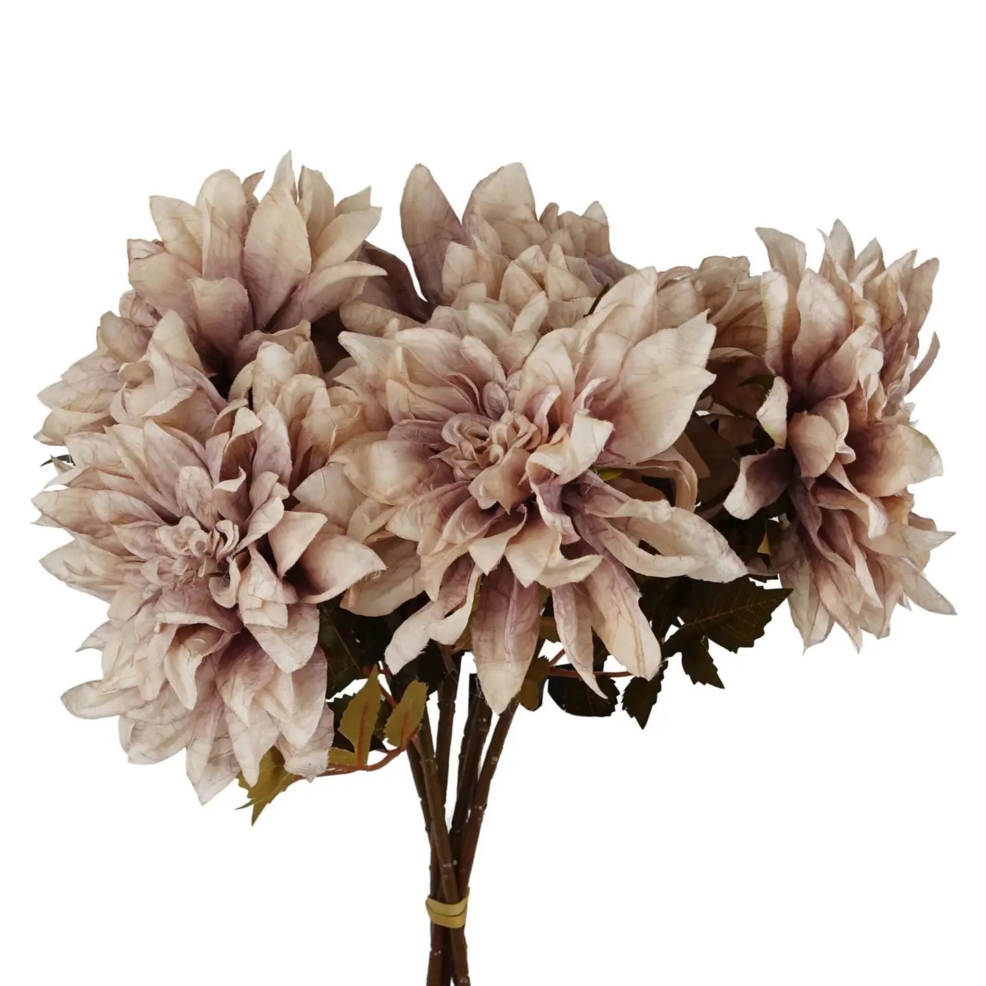 Dahlia Flower Stem - Dusty Pink