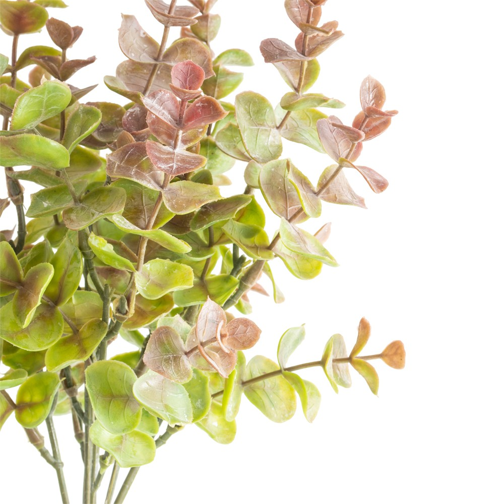 Small Eucalyptus Spray