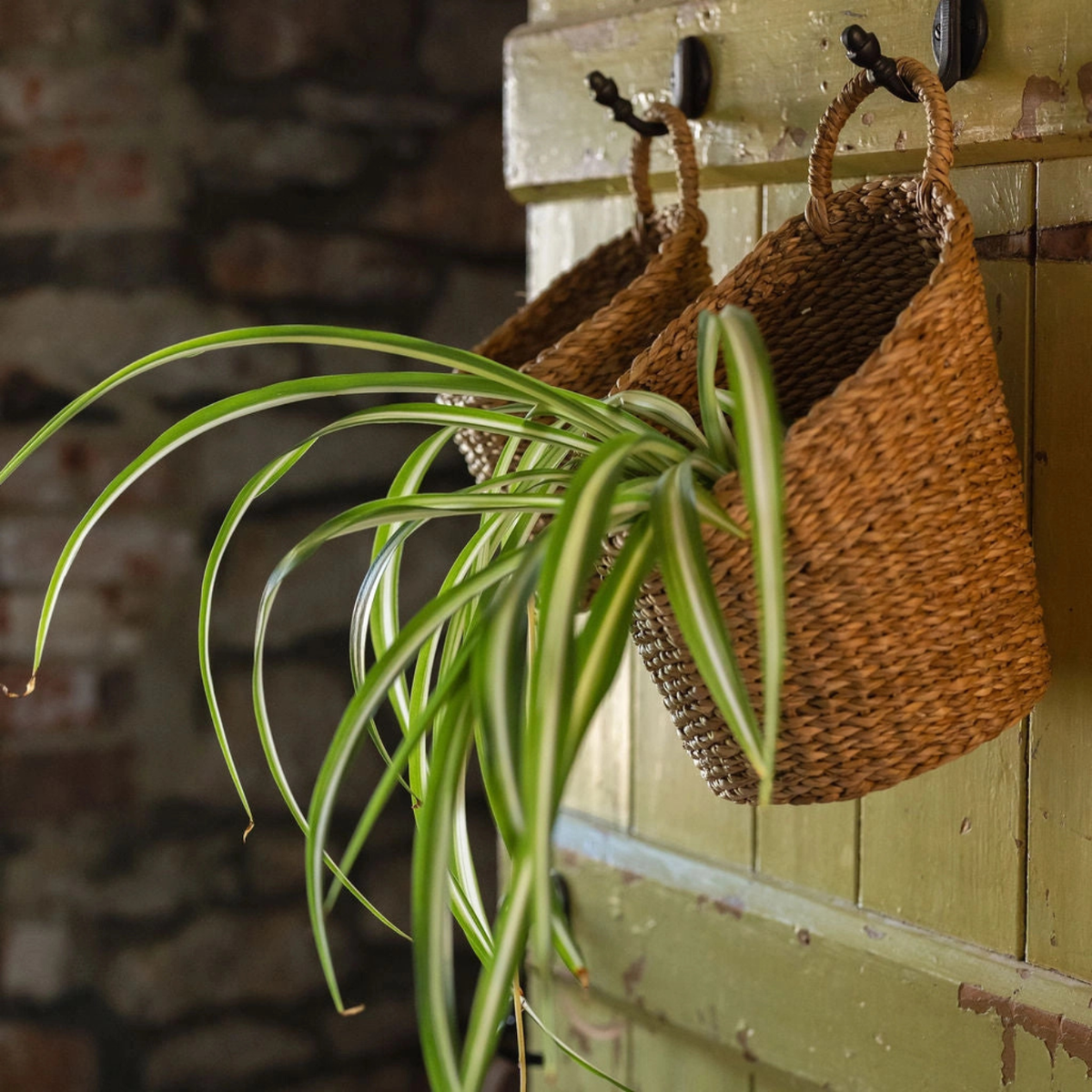 Seagrass Hanging Storage Baskets