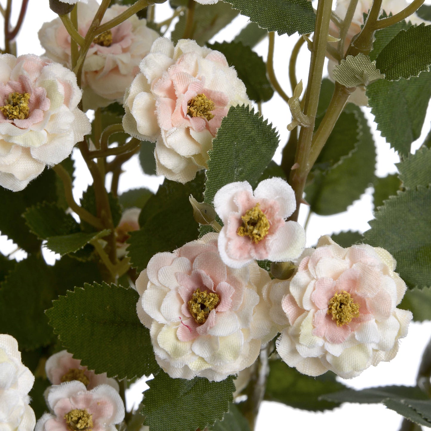 Faux Cream Wild Meadow Rose Stem (Set of 4)