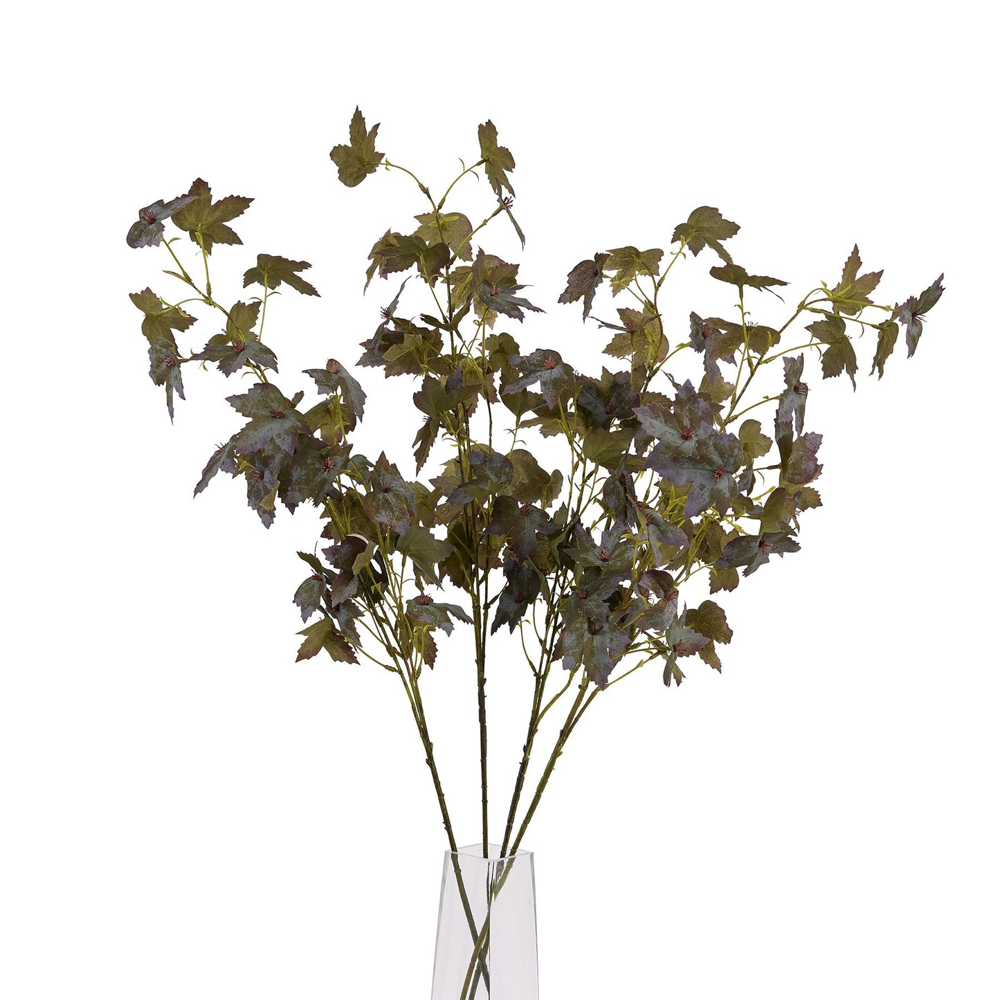 Artificial leafy branch in a clear vase on a white background