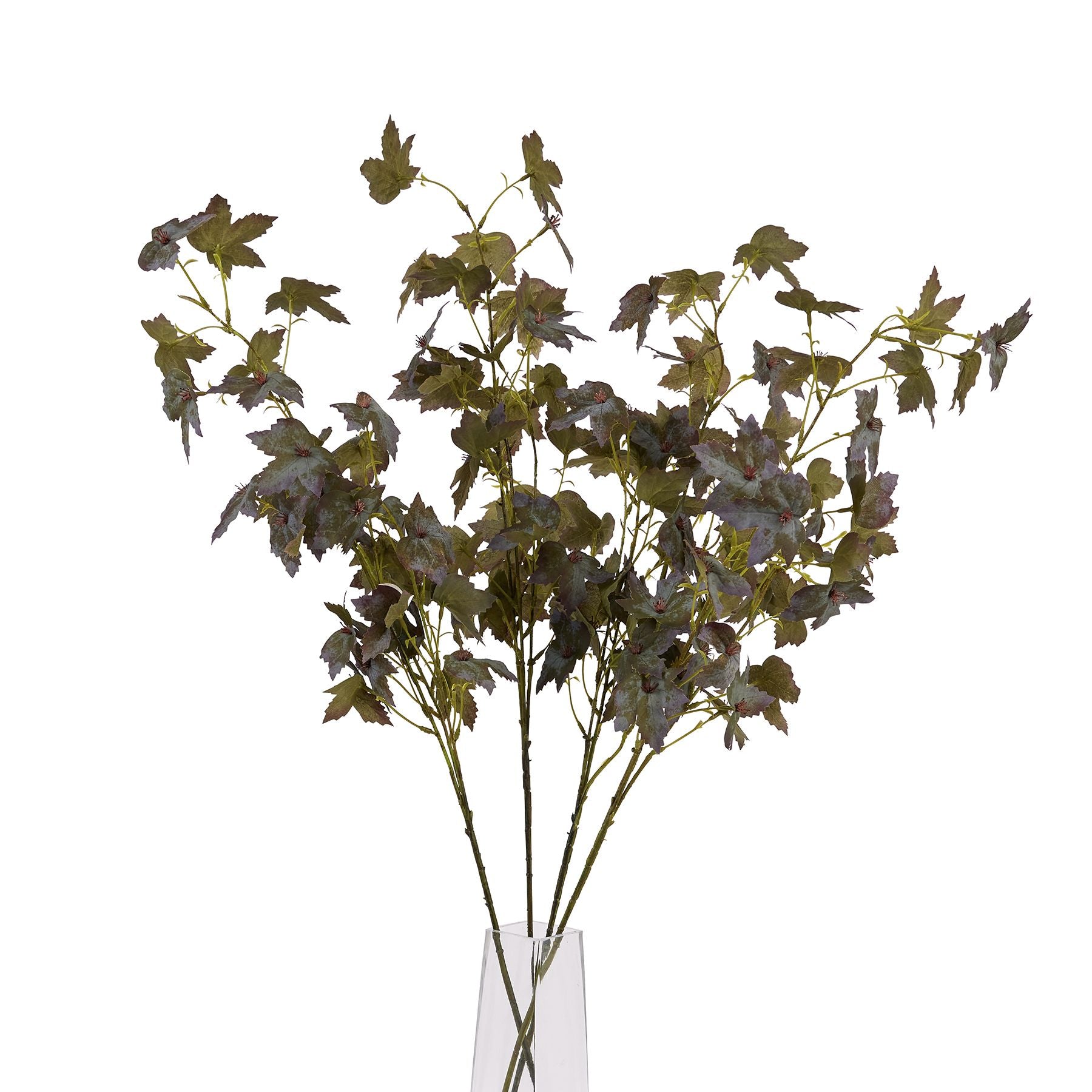 Artificial leafy branch in a clear vase on a white background
