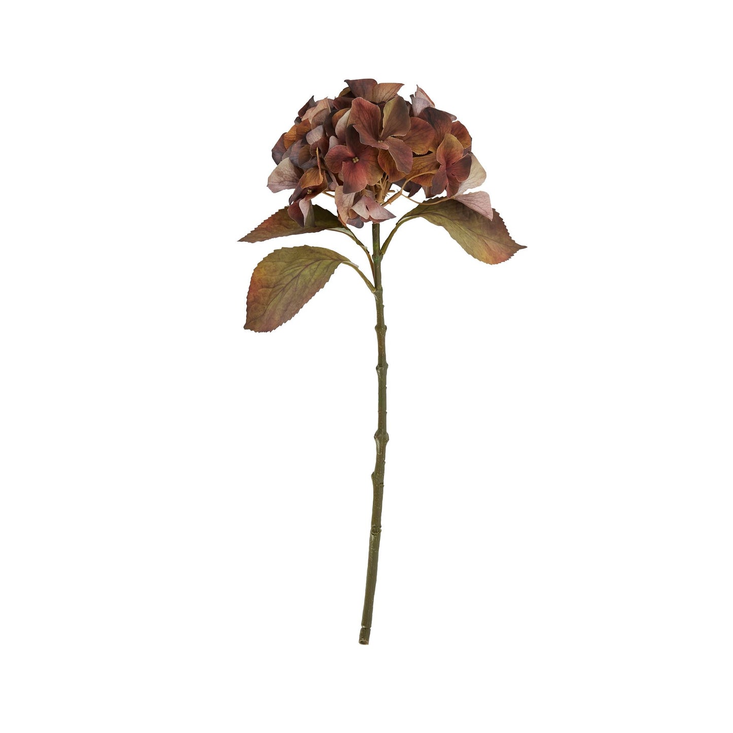 Faux Autumn Browns Hydrangea Stem (Set of 4)