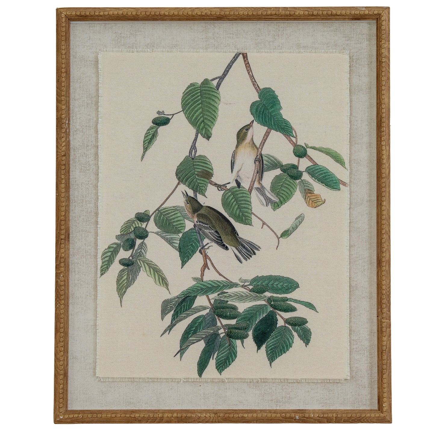 Botanical Framed Linen Print - Warblers