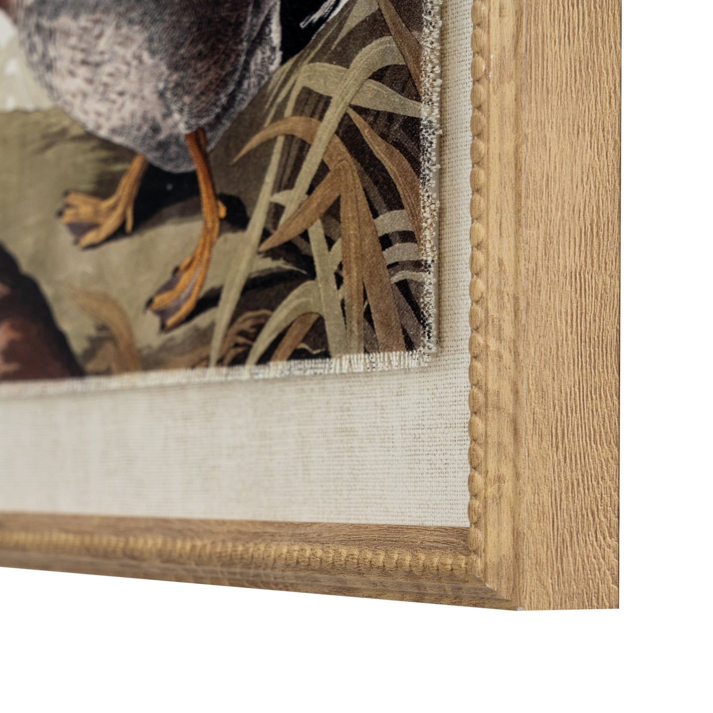 Mallard on Linen