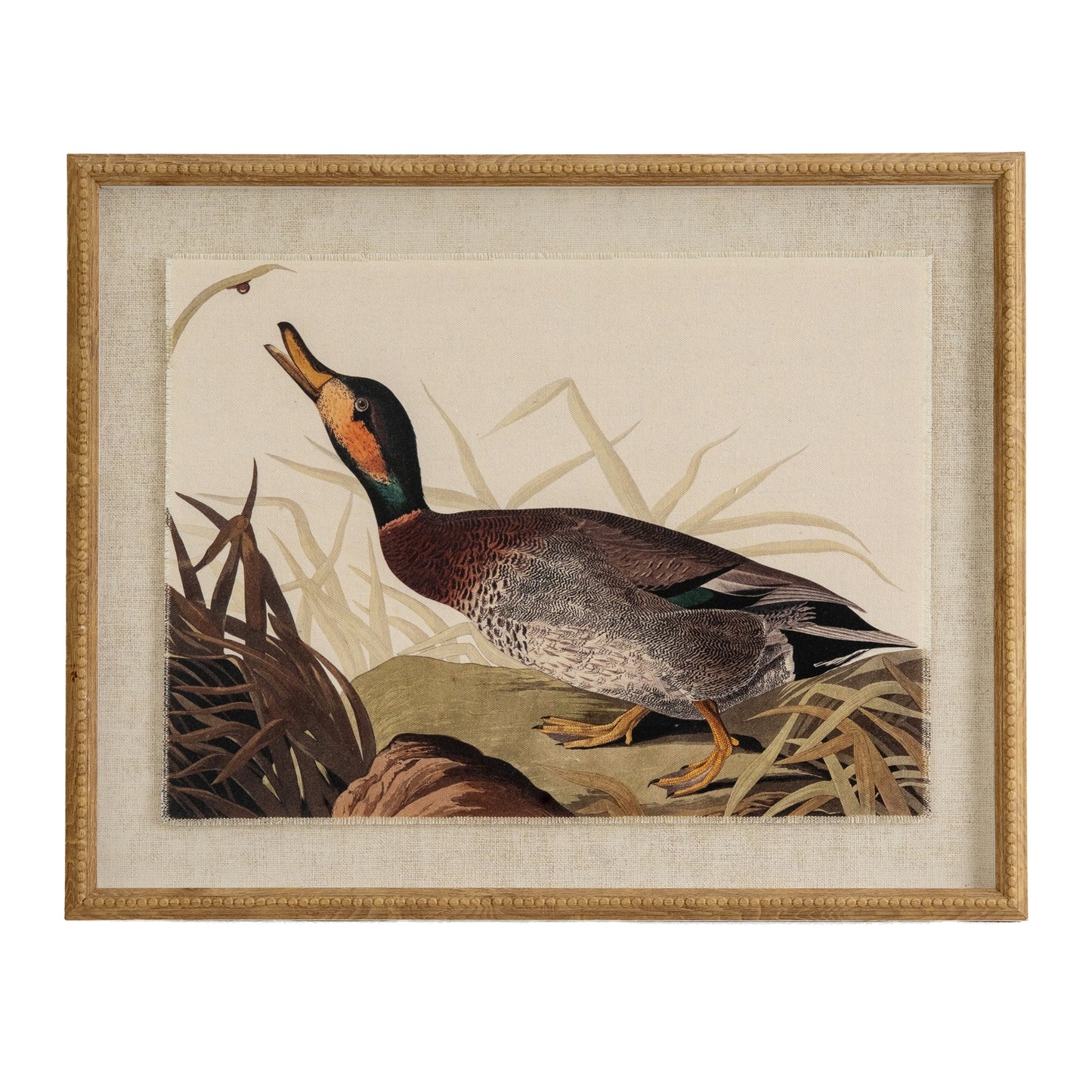 Mallard on Linen