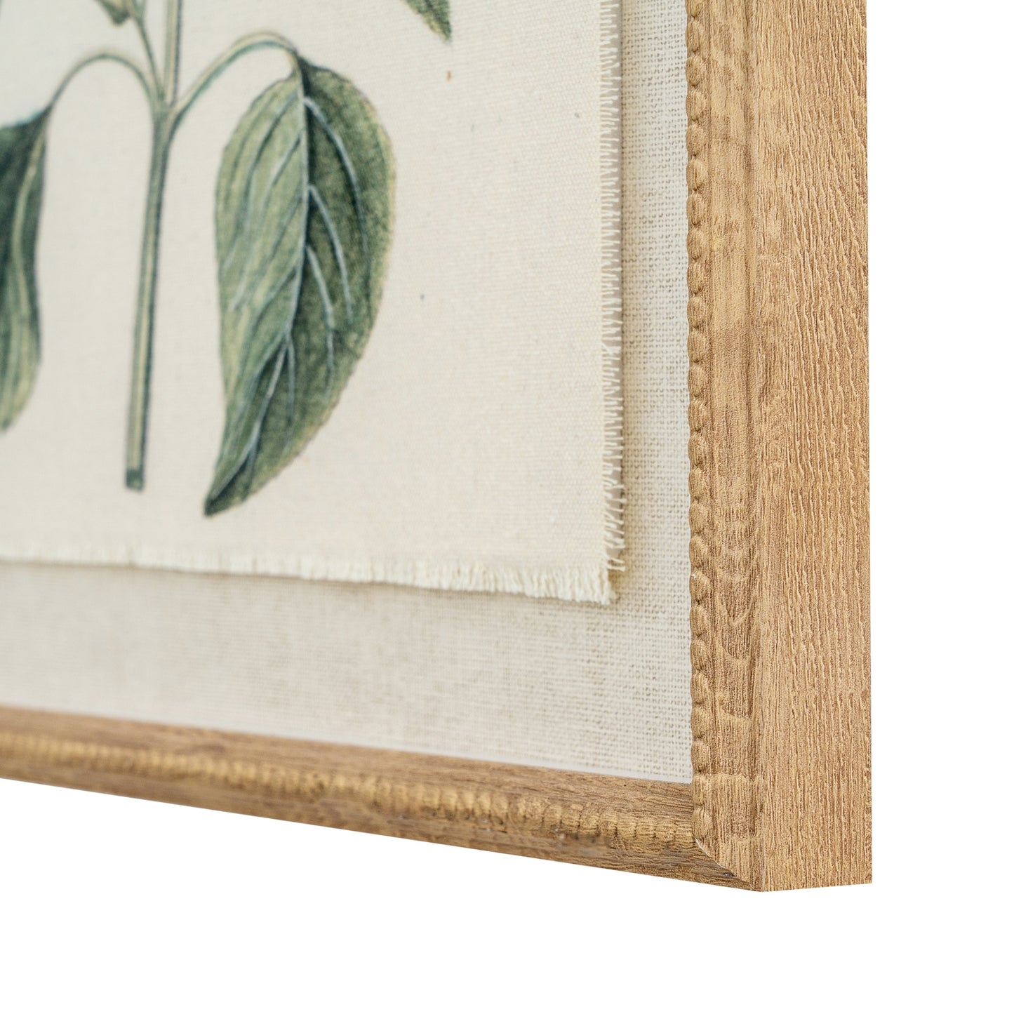Botanical Framed Linen Print - Salvia