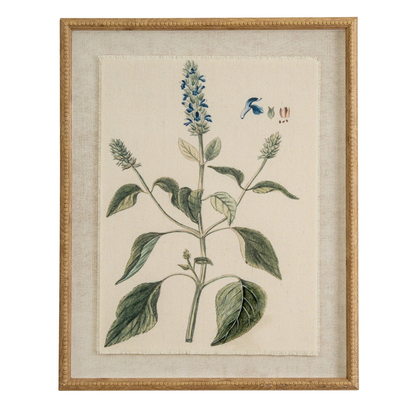 Botanical Framed Linen Print - Salvia