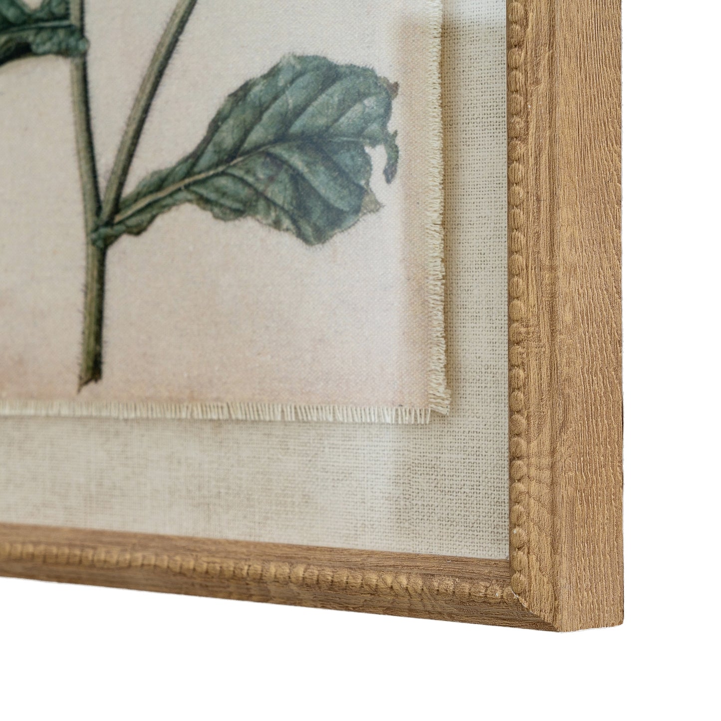 Botanical Framed Linen Print - Borage