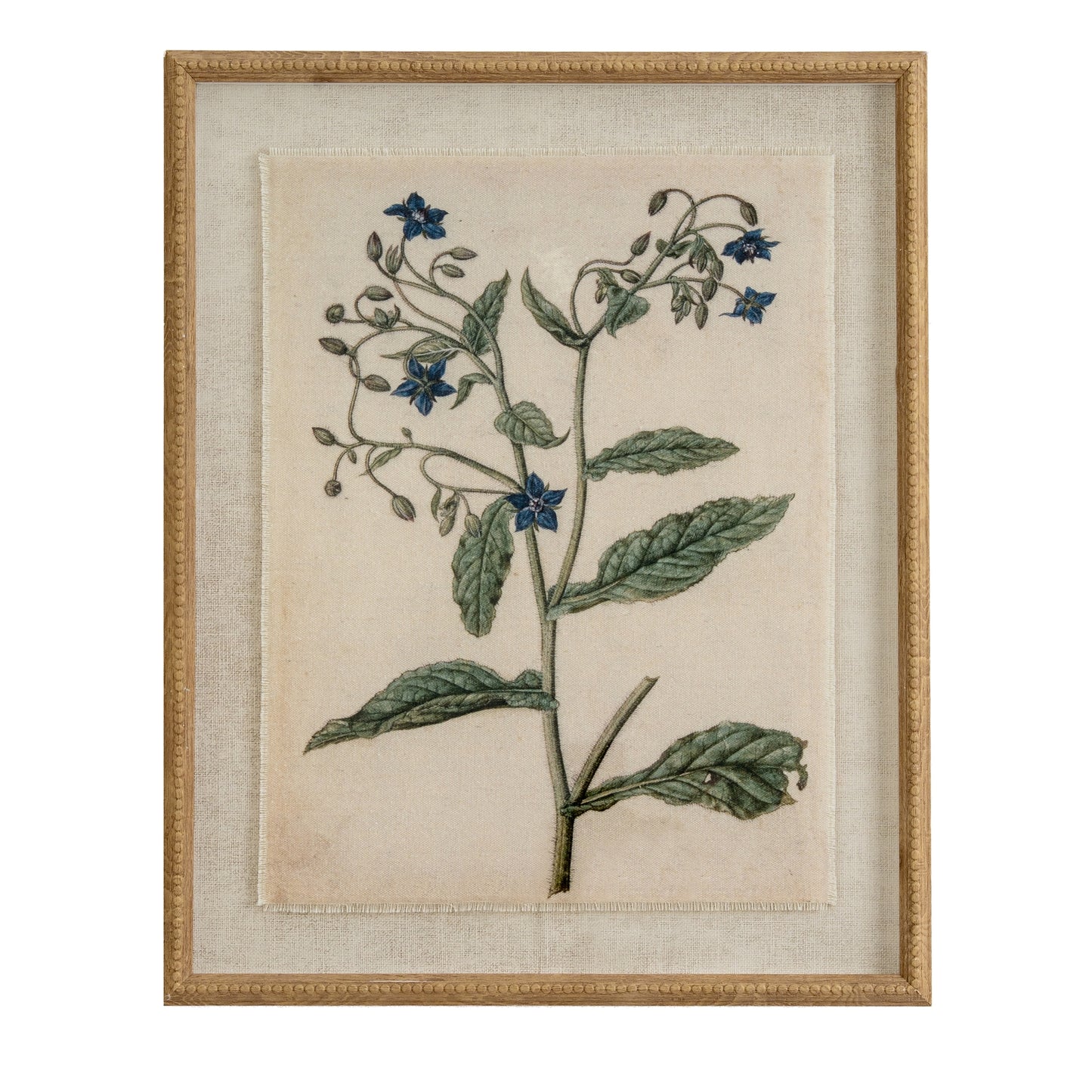 Botanical Framed Linen Print - Borage