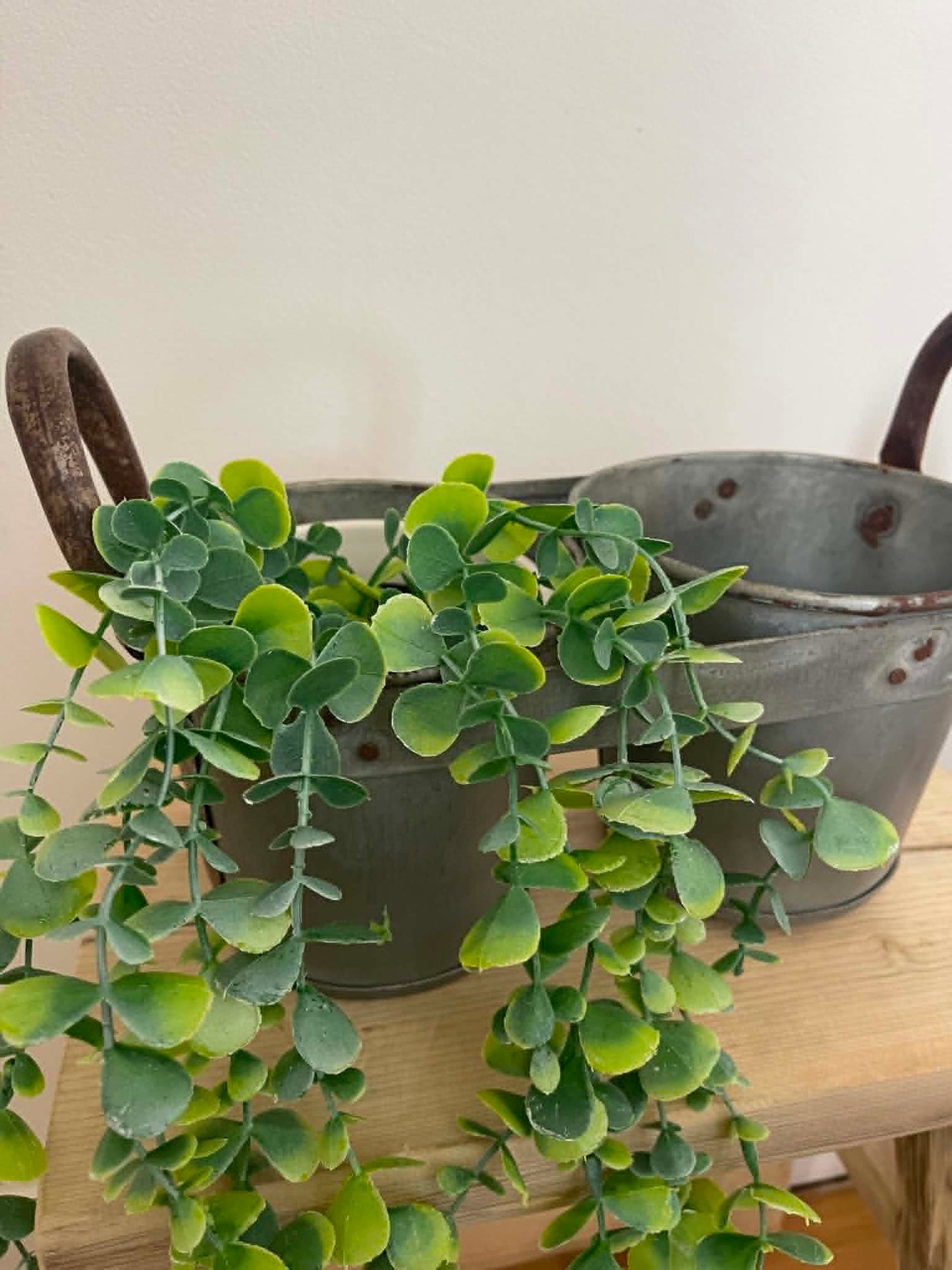 Salvaged Galvanized Metal Bucket Planter