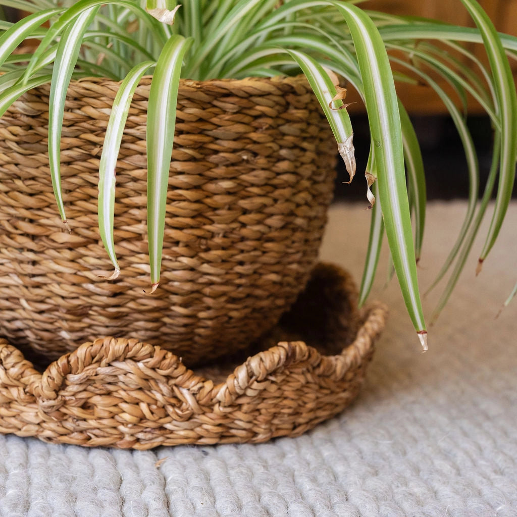 Scallop Lidded Storage Basket - Set of 3