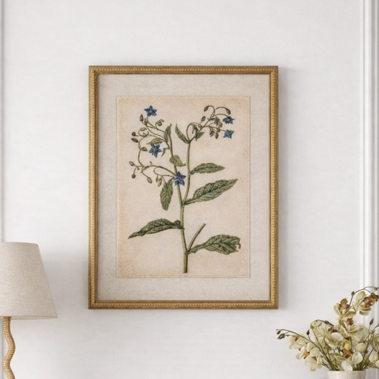 Botanical Framed Linen Print - Borage