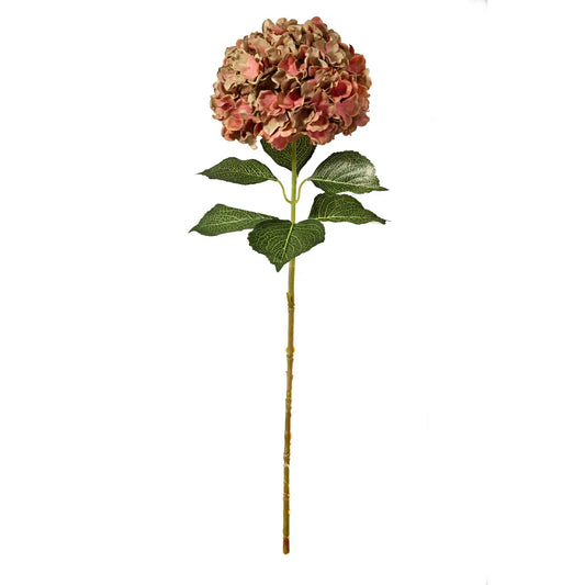 Green/ Pink Hydrangea