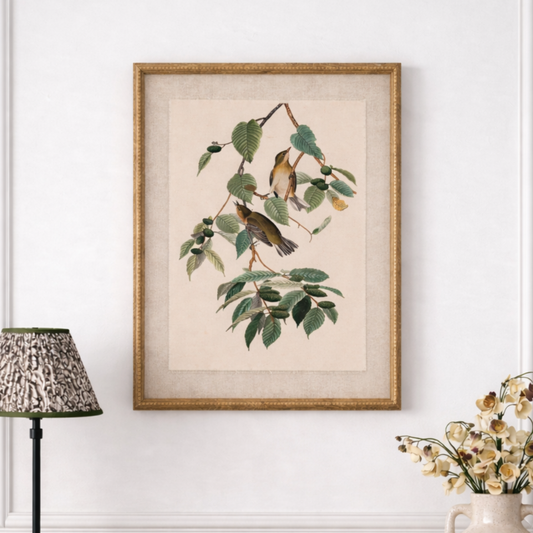 Botanical Framed Linen Print - Warblers
