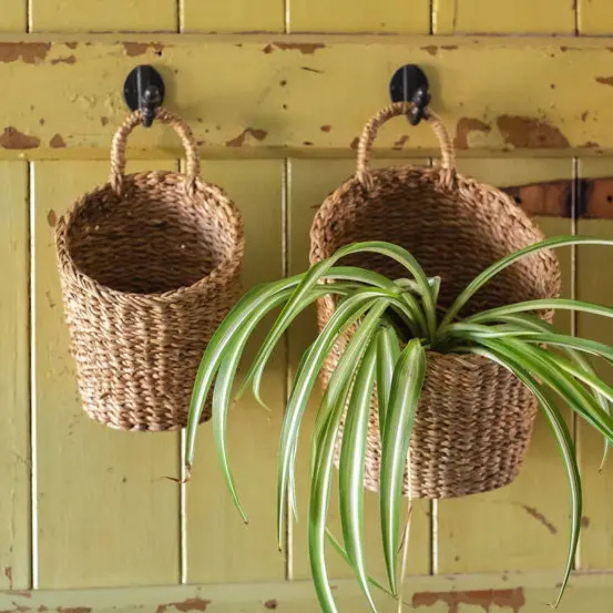 Seagrass Hanging Storage Baskets