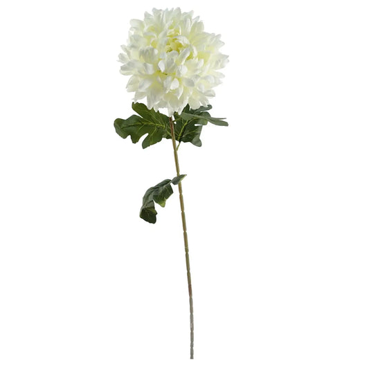 White Chrysanthemum Stem