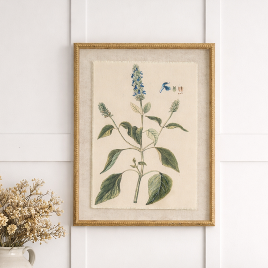 Botanical Framed Linen Print - Salvia