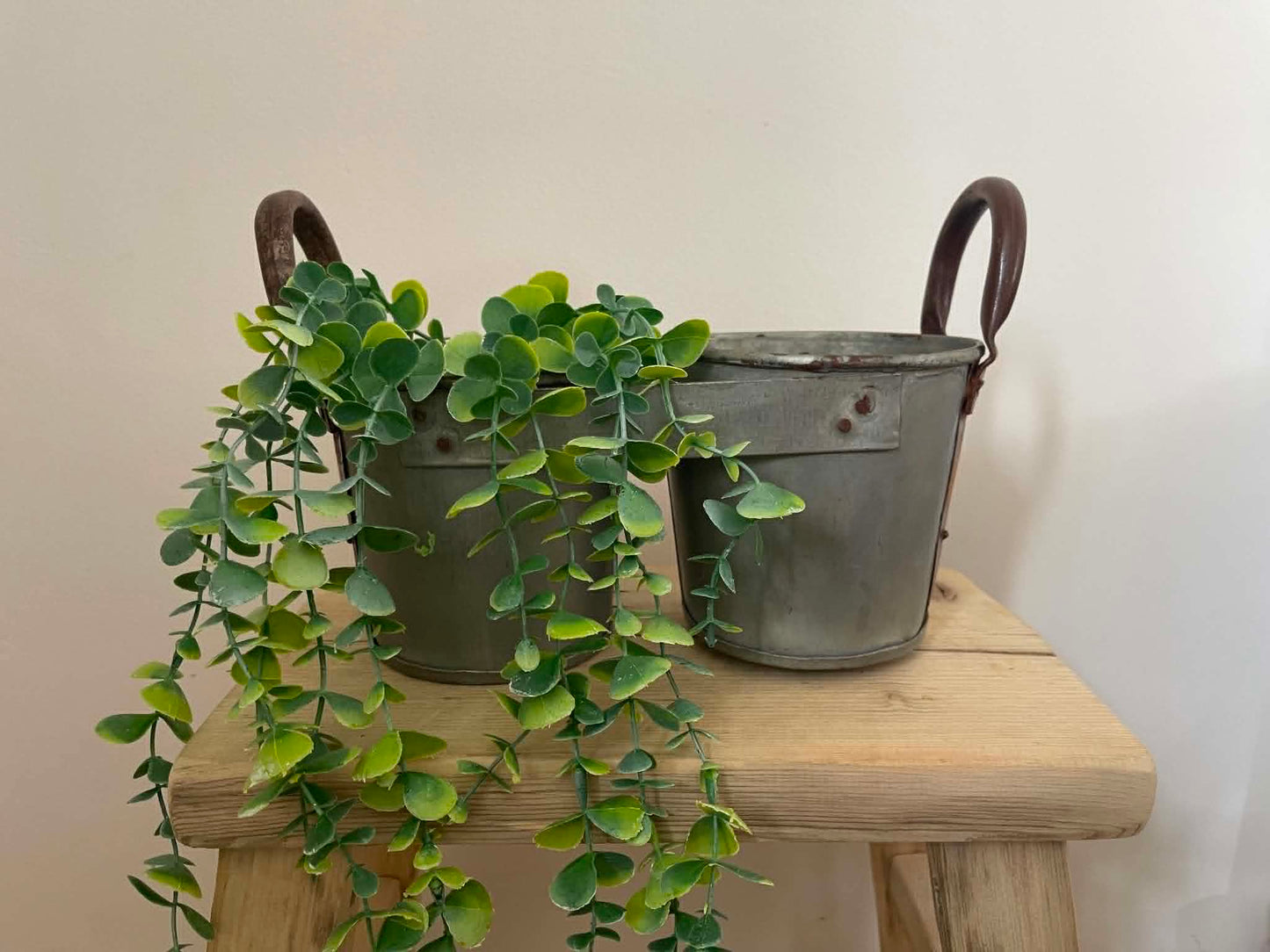 Salvaged Galvanized Metal Bucket Planter
