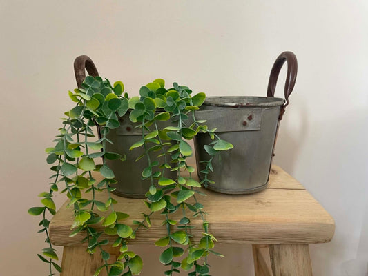Salvaged Galvanized Metal Bucket Planter