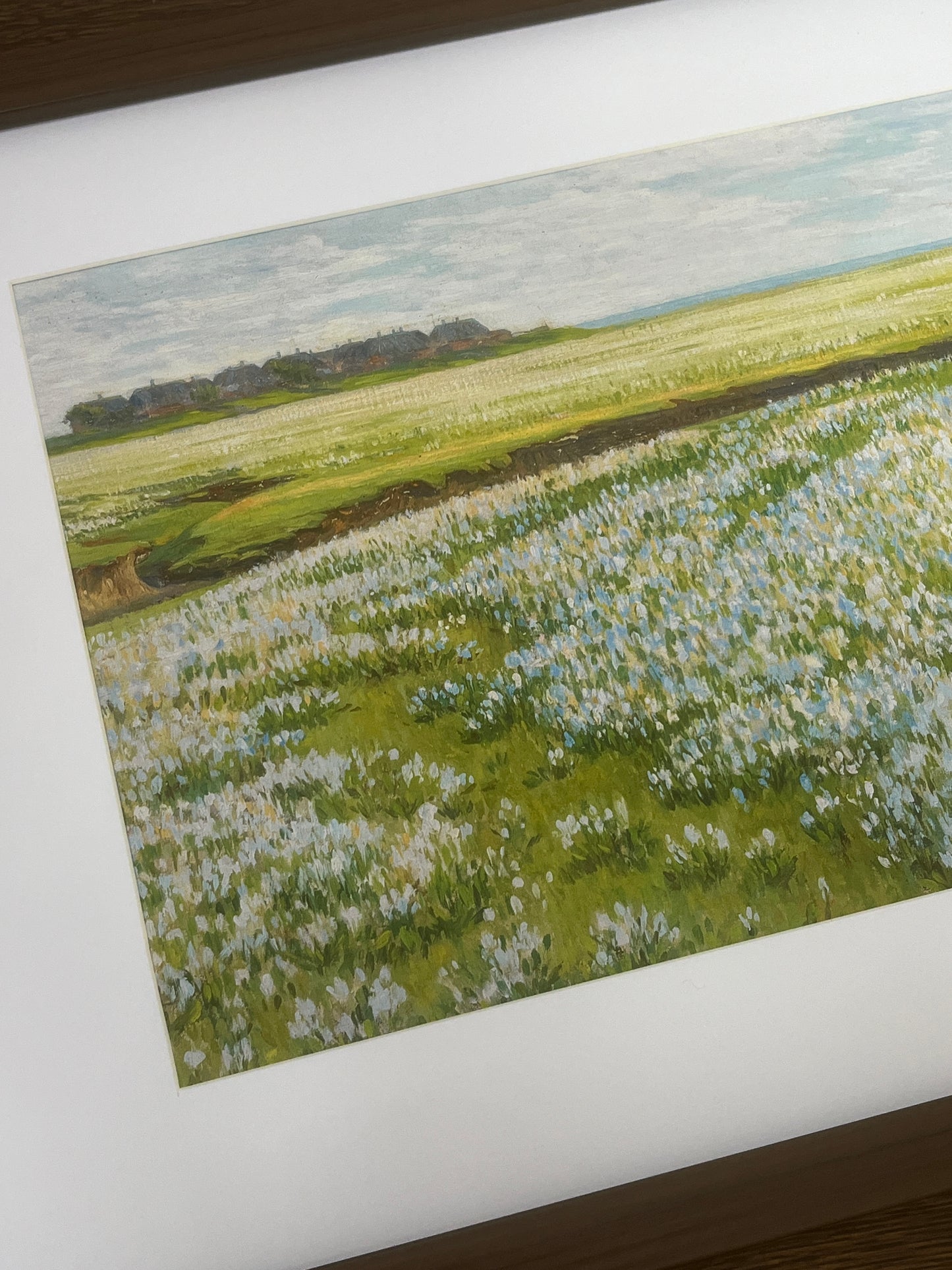 Field Study in Blue Print (A4 & A3)