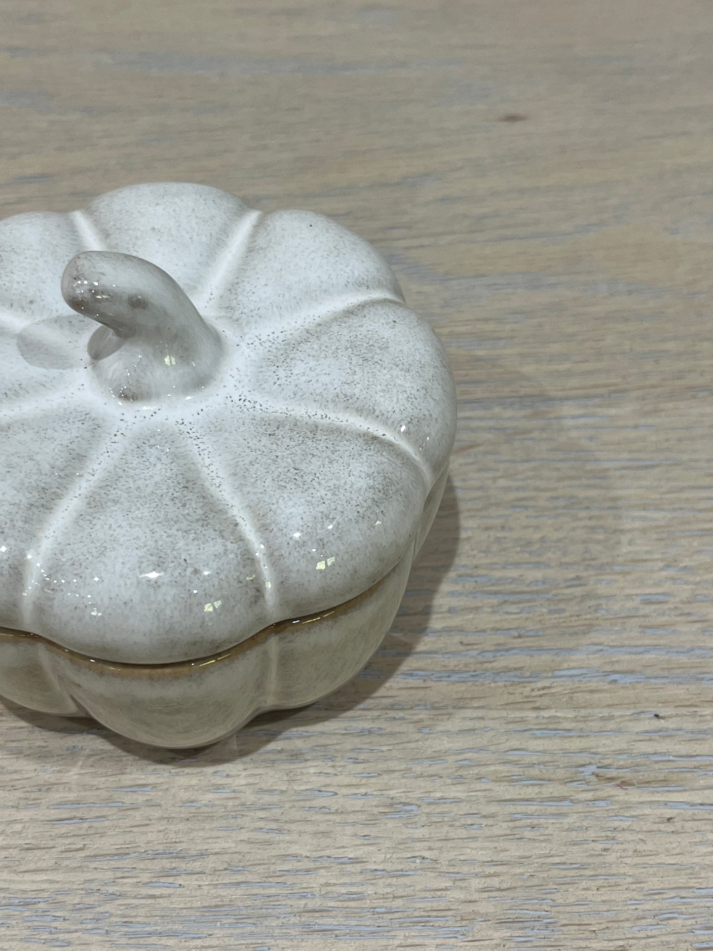 Ceramic Pumpkin Pot - Natural