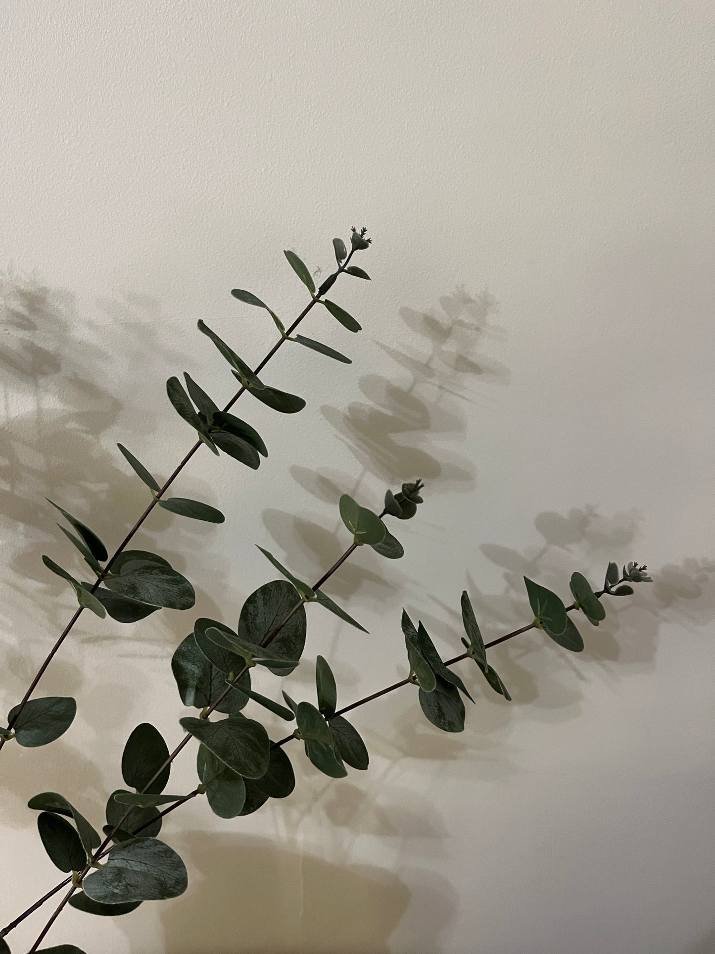 Faux Eucalyptus Stem - Green