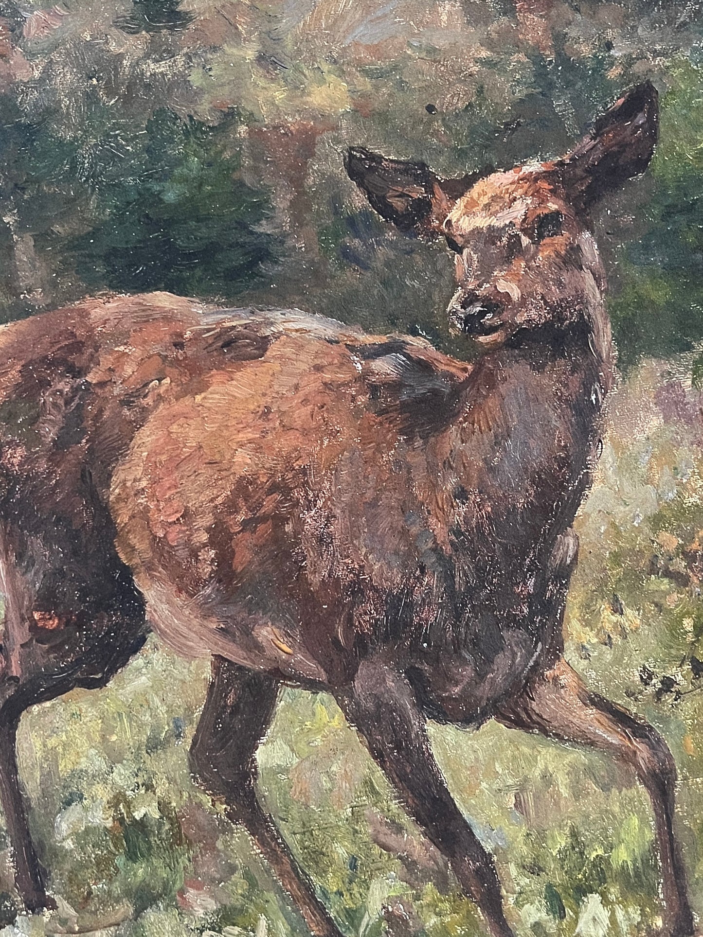 Deer in Autumn Art Print (A4 & A3)