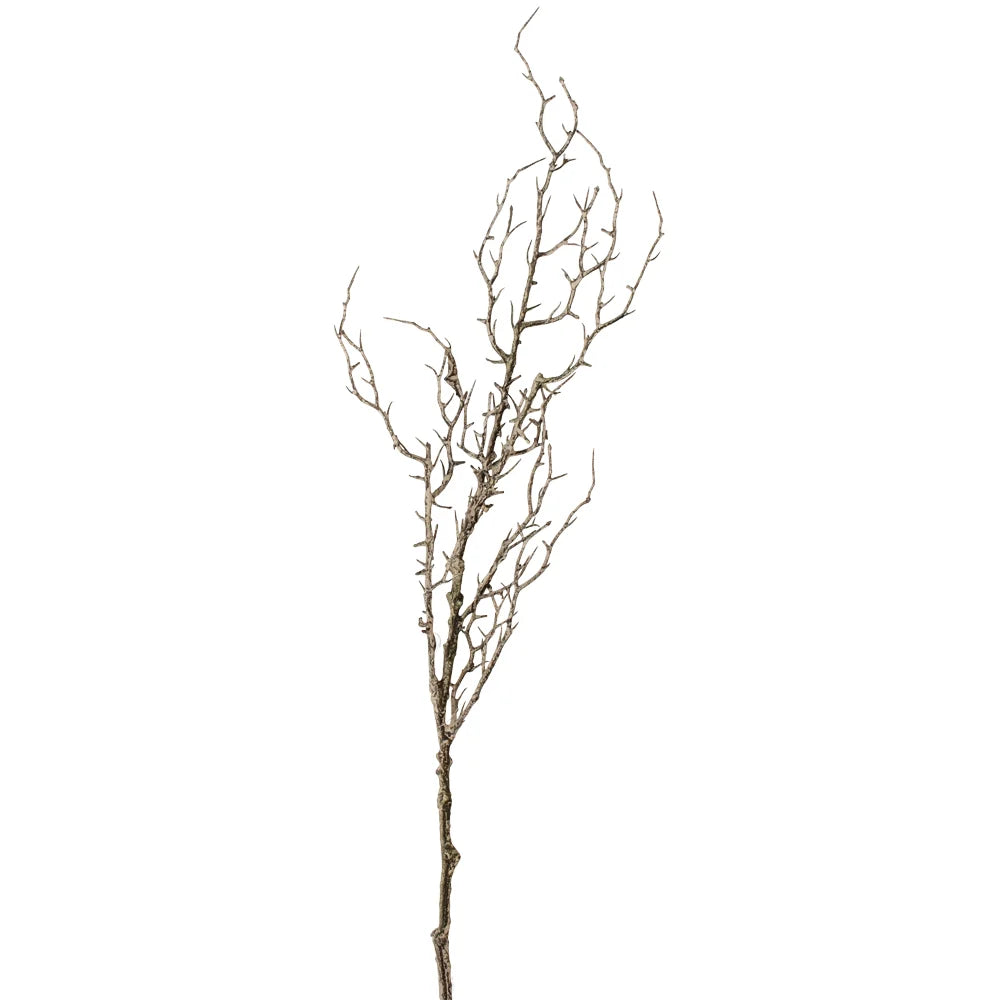 Hawthorn Branch