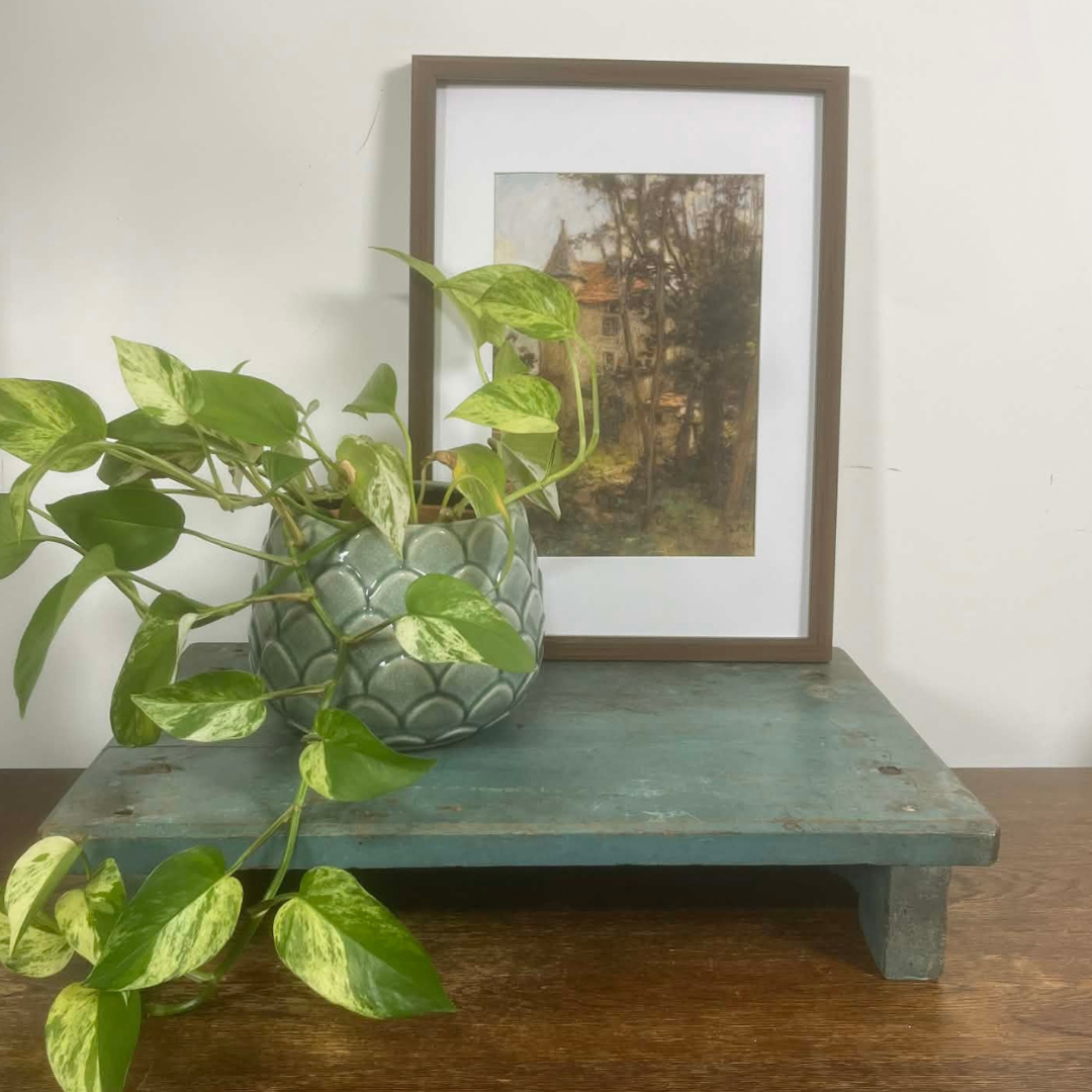 Handcrafted Indian Hardwood Riser – Rustic Teal