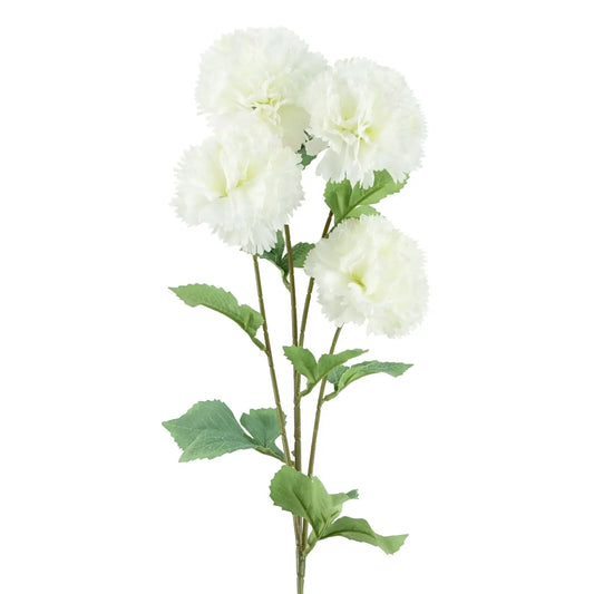White Carnation Stem