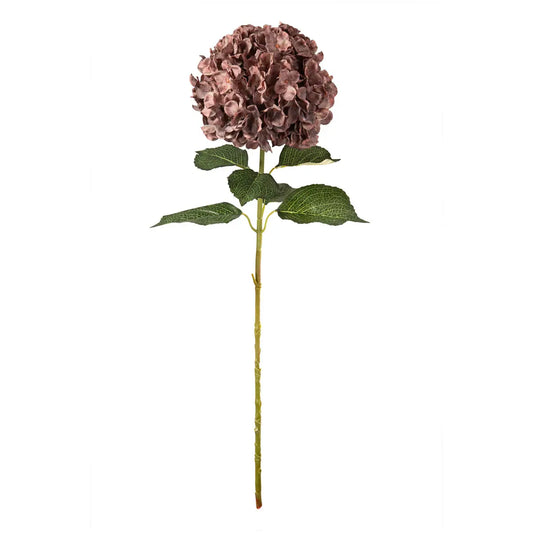 Dusky Pink Hydrangea