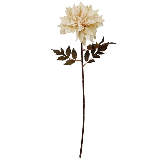 Dahlia Flower Stem - Dusty Cream