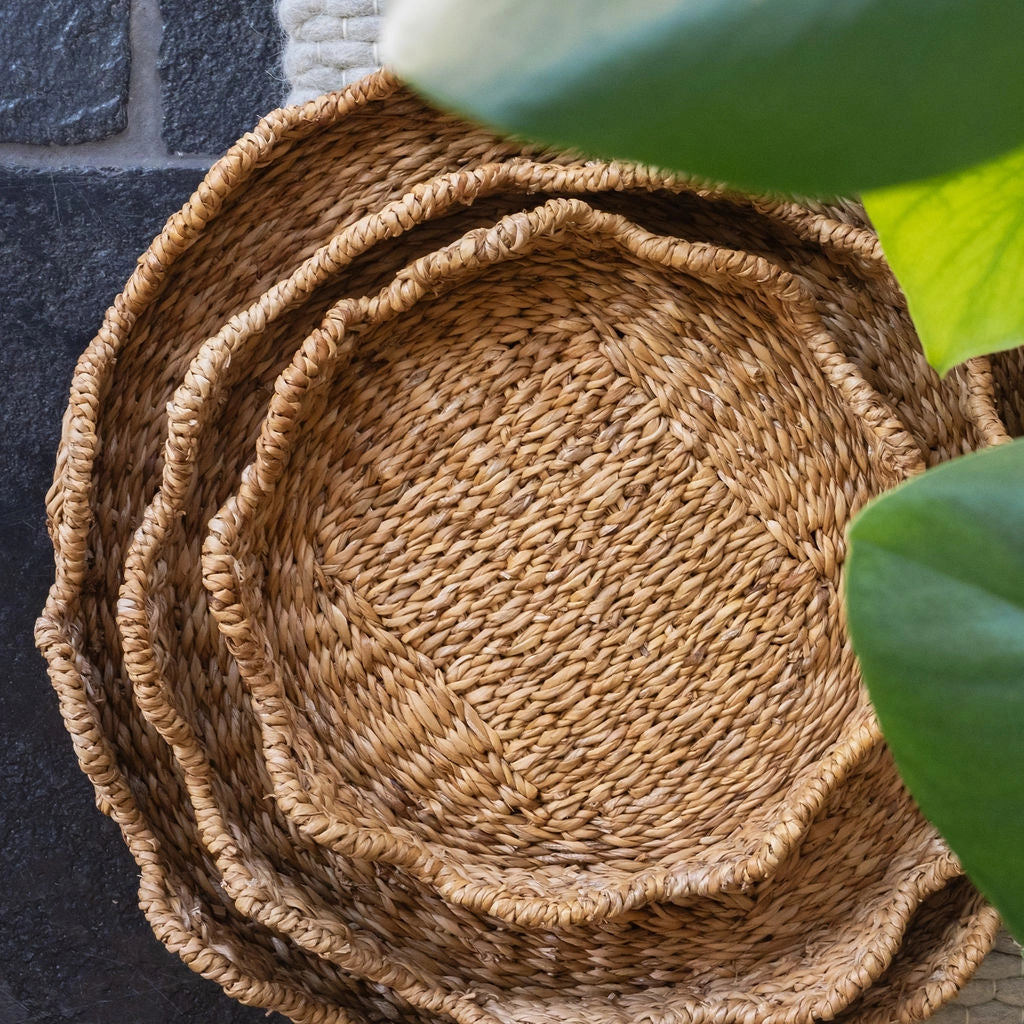 Scallop Lidded Storage Basket - Set of 3