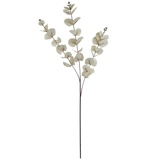 White Eucalyptus Foliage Stem